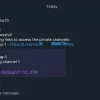 Desipatakas 1 Month telegram membership - Image 2